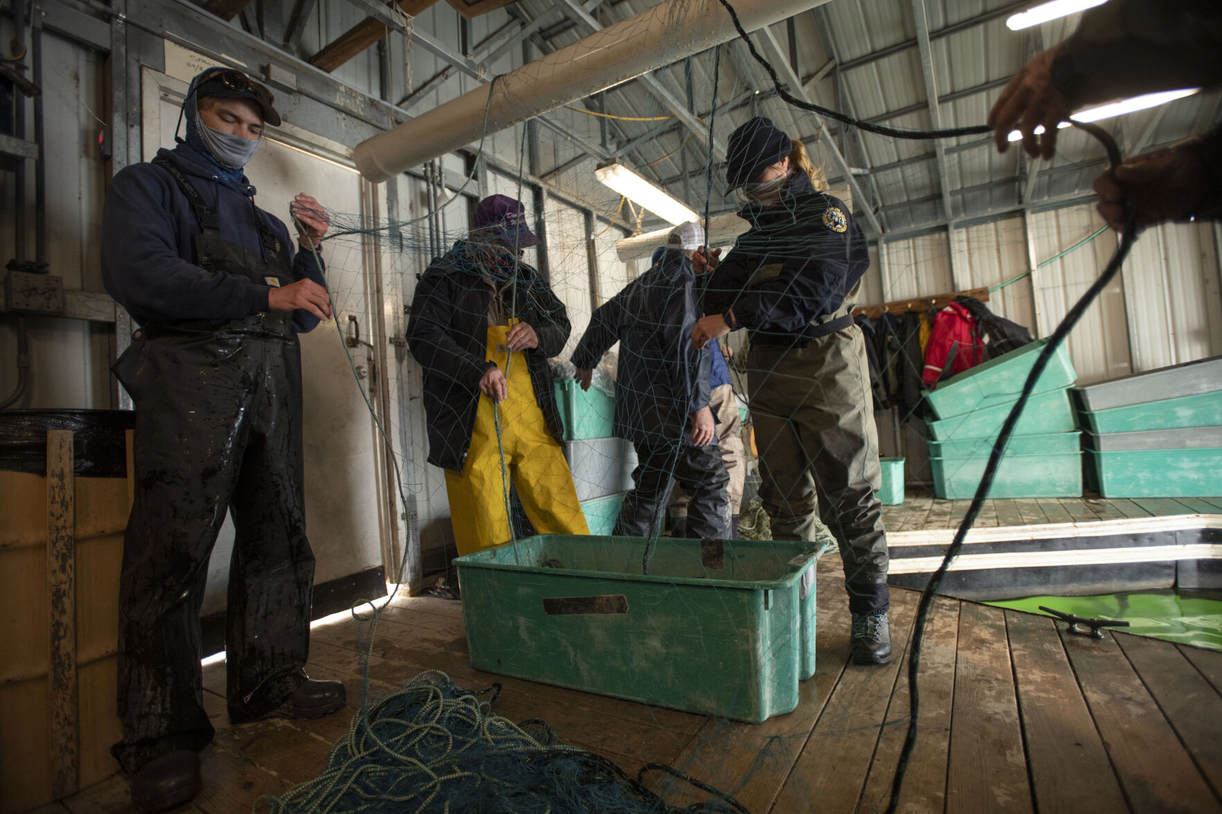 Colorado Parks and Wildlife conduct their version of March Madness, the annual walleye spawning operation at Pueblo Lake in Pueblo, Colo., on Tuesday, March 23, 2021. Colorado Parks and Wildlife's goal this year is 120 million eggs statewide, with roughly 30 million to come from Lake Pueblo. 