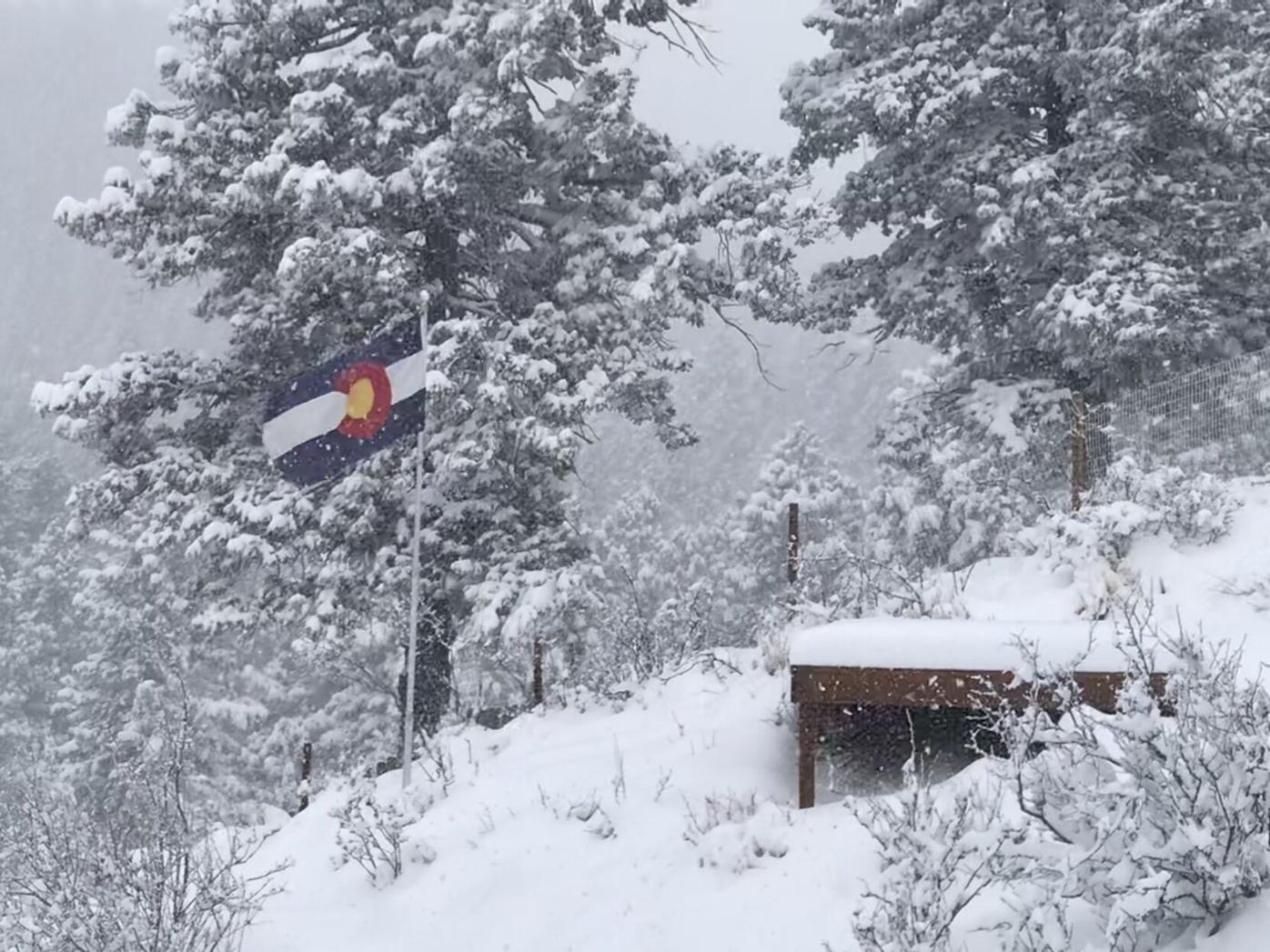 Overnight ‘cow killer’ storm batters southeastern Colorado