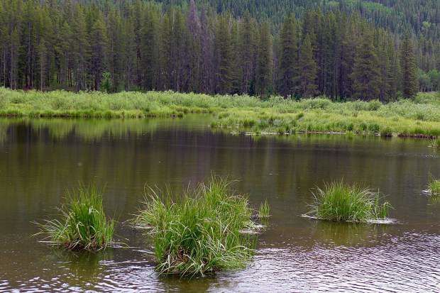 Colorado Springs, Aurora approved to perform exploratory drilling for new reservoir in the White River National Forest