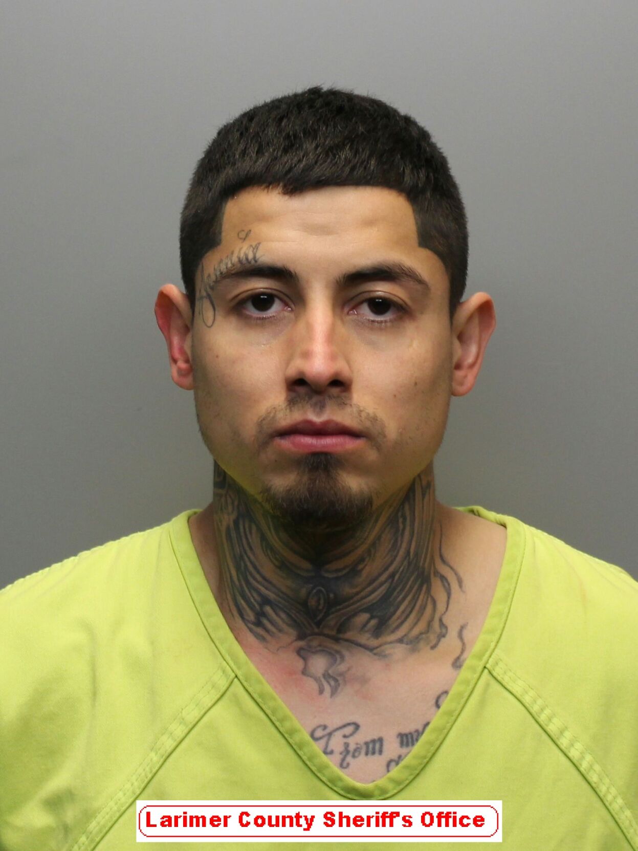 3-year-old dies after alleged assault; man in custody