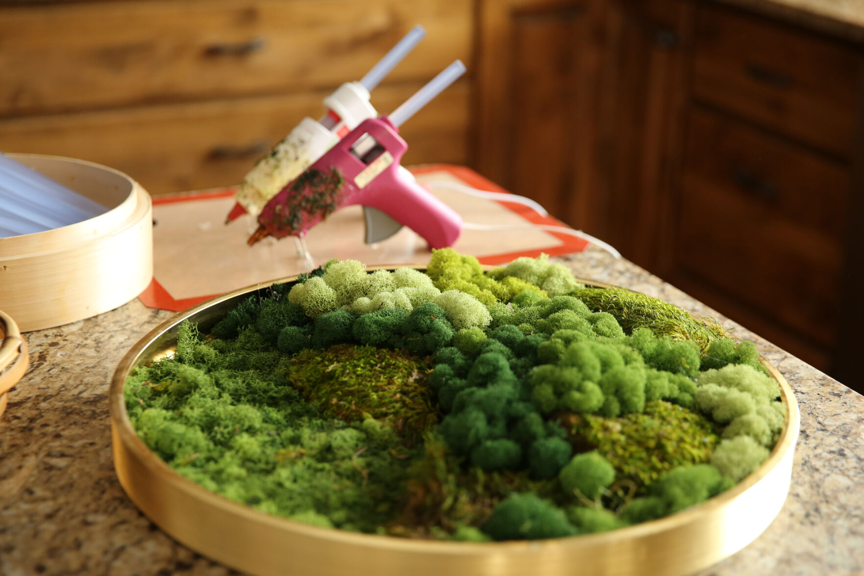 A recently finished piece of moss art sits on Courtney Arnstein’s kitchen counter. (Forrest Czarnecki/The Gazette)