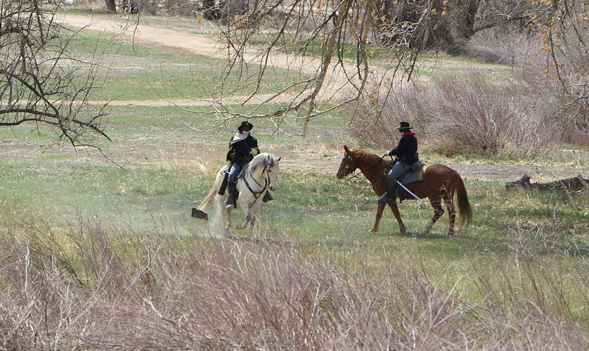 041921-news-buffalo 04.JPG