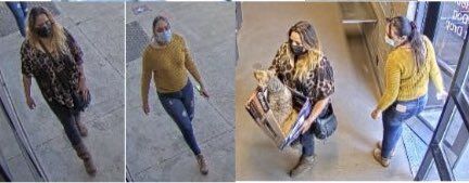 Severely injured dog dropped off at shelter, Denver police looking for suspects