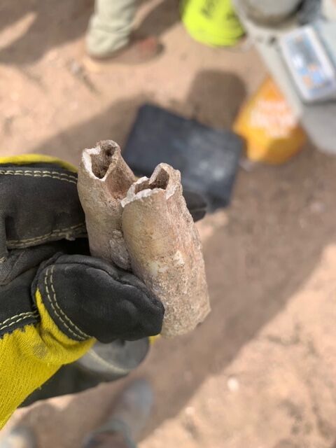 The camelops hesternus molar fossil. Photo Credit: Kiewit Infrastructure Co.