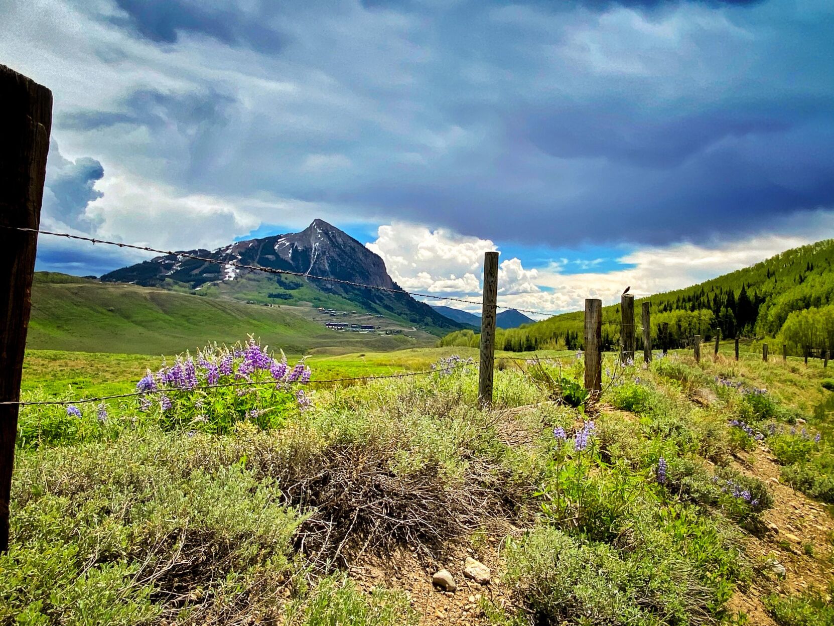 The Washington Gulch area near Crested Butte is among areas with new rules on camping. (COURTESY pHOTO)