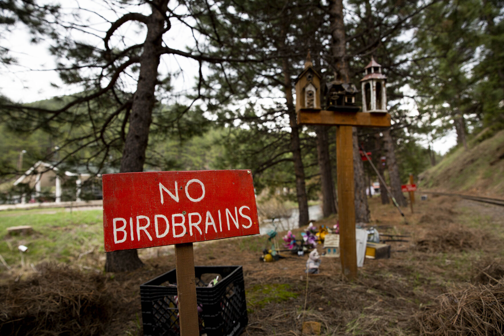 Scenes from Tiny Town and Railroad on Friday, May 14, 2021 in Morrison, Colo. Tiny Town will be reopening on Saturday, May 29th for the 2021 season. (Katie Klann/The Gazette) (KatieKlannkatie.klann@gazette.comhttps://secure.gravatar.com/avatar/15e8af752374ad1abb67090ceaed3ec3?d=mm&r=g)