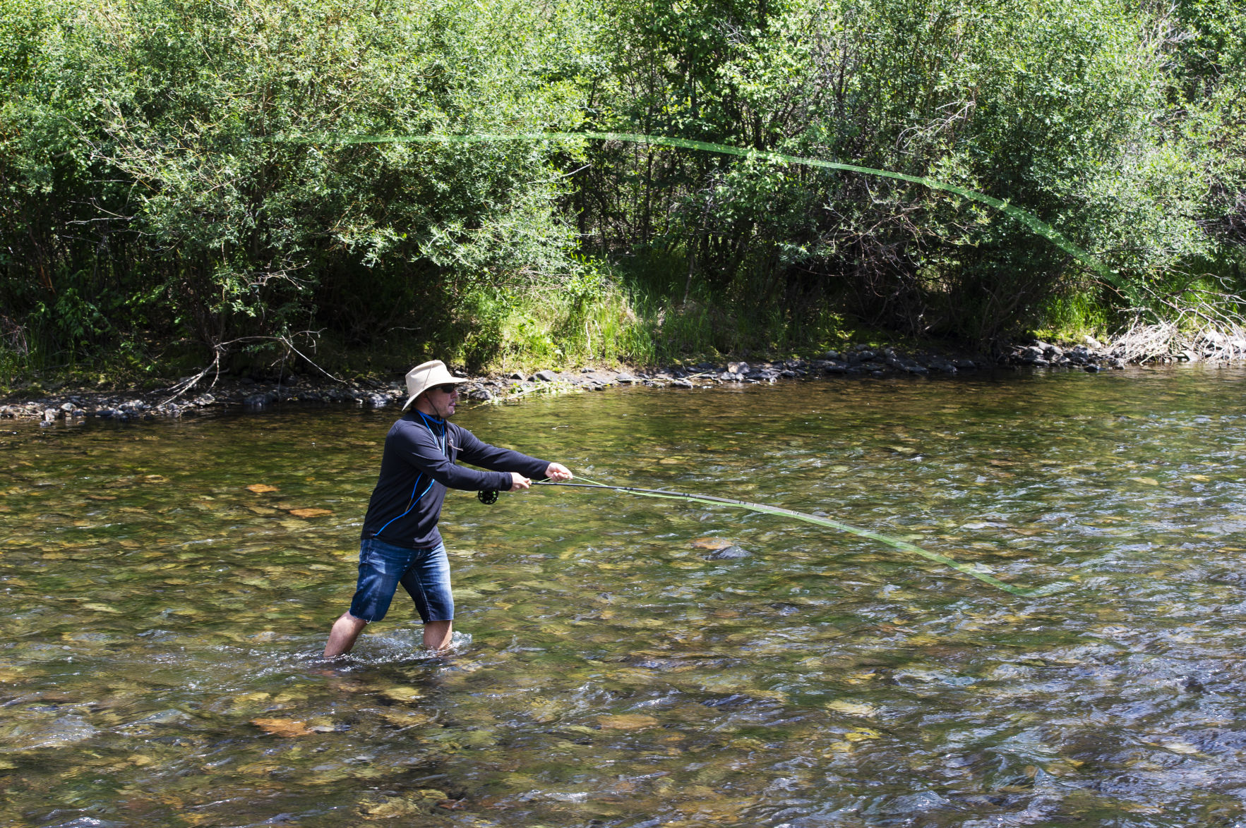 Daniel Gregory fly-fishes in Lake Fork of the Gunnison River in Lake City. Gazette file (Kelsey Brunner)