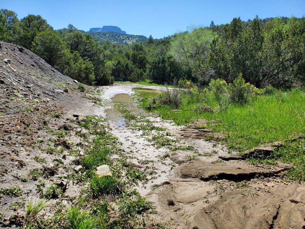 Photo Courtesy of Colorado Parks and Wildlife.