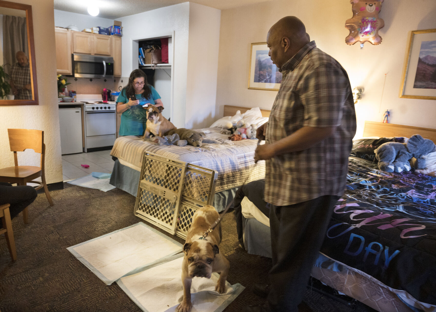 John Wilson gets his dog, Triton, ready for a walk at the hotel where he and his family are currently living Thursdaywhile his wife, Denise Wilson, makes phone calls in their hotel room. Last Fall, the family was spared from eviction of their 2-bedroom apartment where they had lived for 13 years when Gov. Jared Polis signed an executive order protecting tenants who have been impacted by COVID-19. Since then, they were recently evicted and have been living in a S. Nevada Ave. motel for two weeks. (JERILEE BENNETT THE GAZETTE)