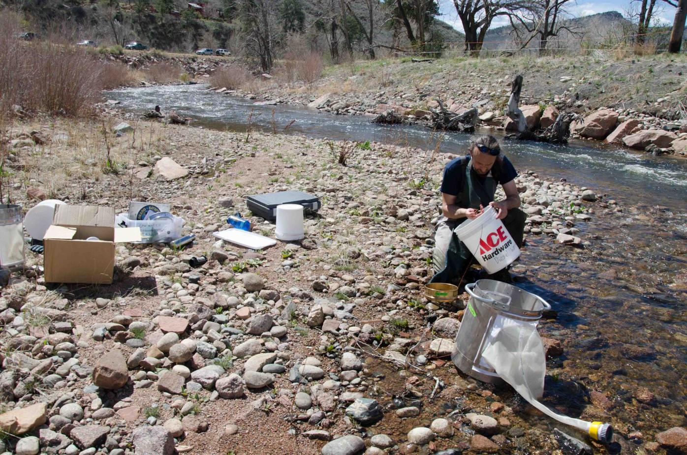 Several hundred dead fish found in North St. Vrain Creek after gas spill near Lyons