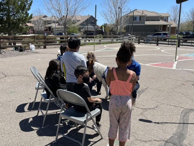 Horse reading event