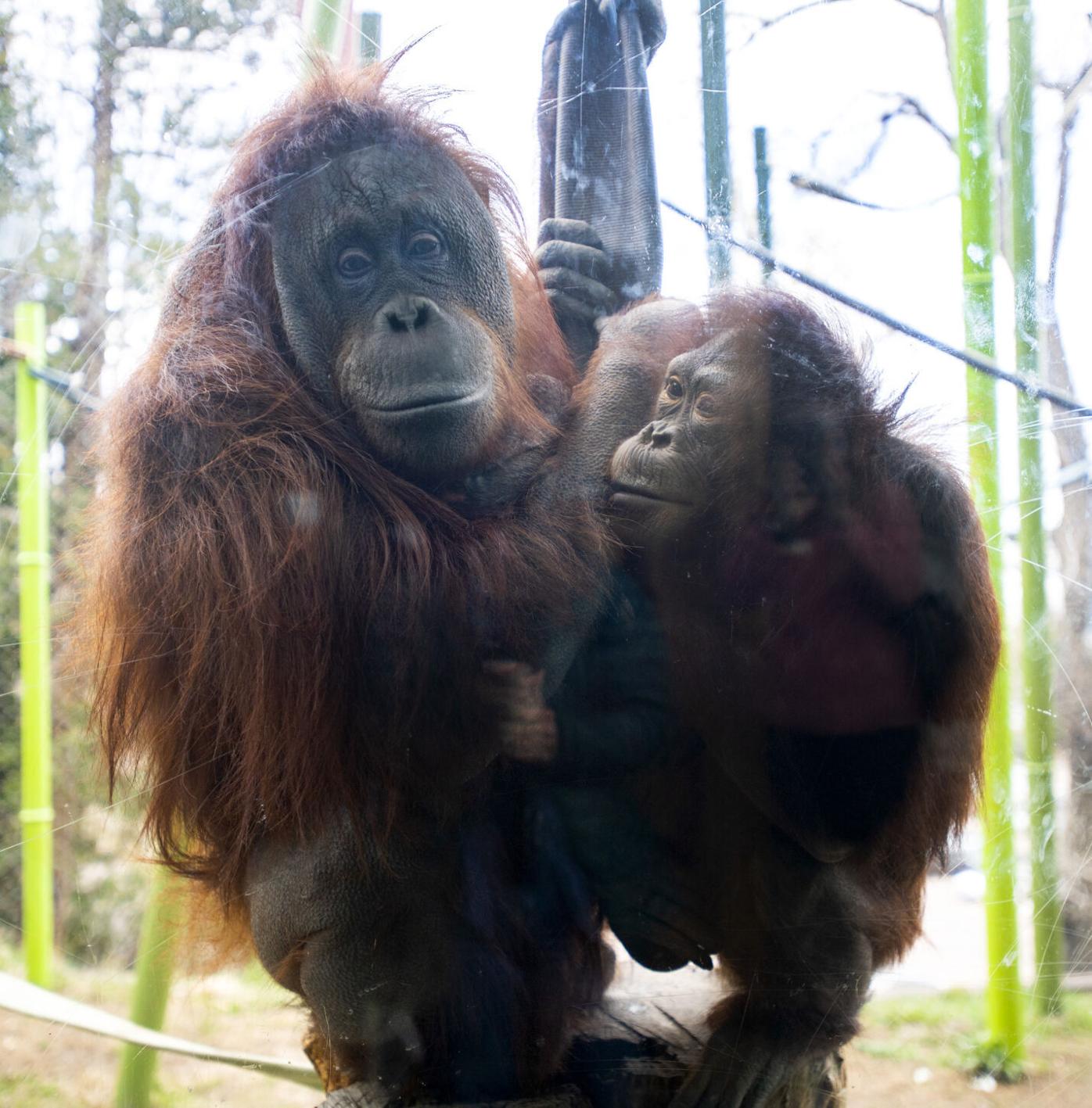 050921-news-zoo-moms 3.jpg
