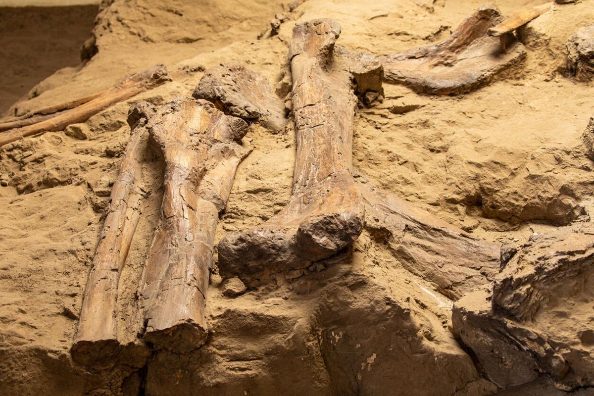 New ‘Utahraptor’ state park to protect dino bones, history