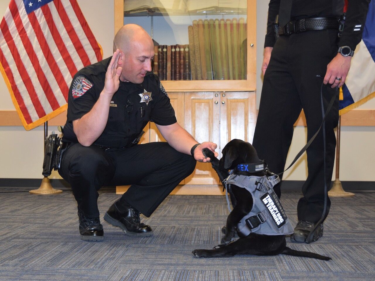 Rex, a 10-week-old Black Labrador retriever was sworn in as a member of the Arapahoe County Sheriff's Office on Tuesday morning. (Courtesy of the Arapahoe County Sheriff's Office)