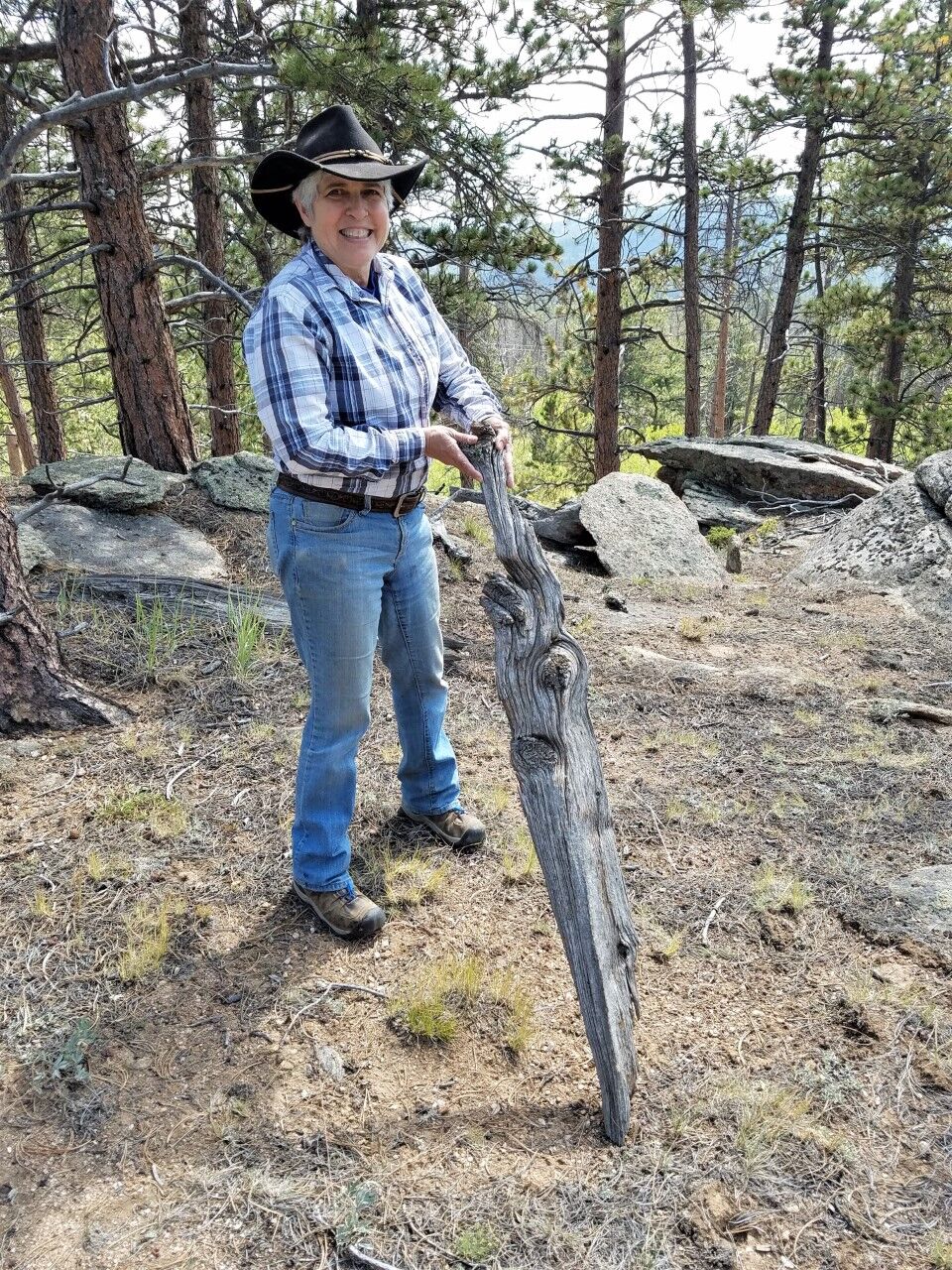 Debi Candelora, of Bellevue, transforms pieces of wood into sculptures. (Contributed photo)