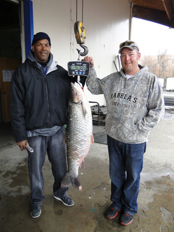 Brian Husmann, right, caught the state’s heaviest fish ever reeled in and recorded, a 57-pound grass carp. The monster emerged in 2013 from Cottonwood Park Lake in Lakewood. It was 47 inches long. Photo courtesy Colorado Parks and Wildlife