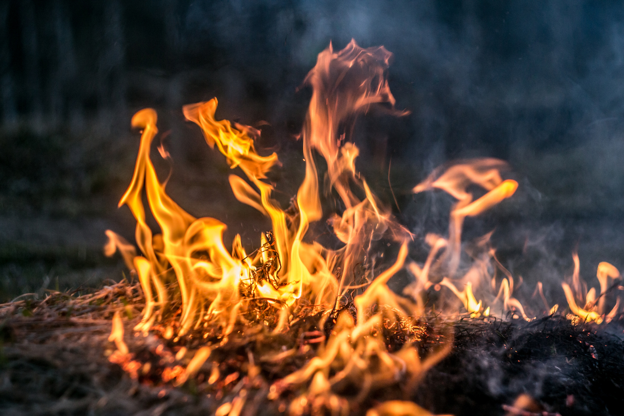 File photo. Photo Credit: TonyFuse (iStock). (TonyFuse)