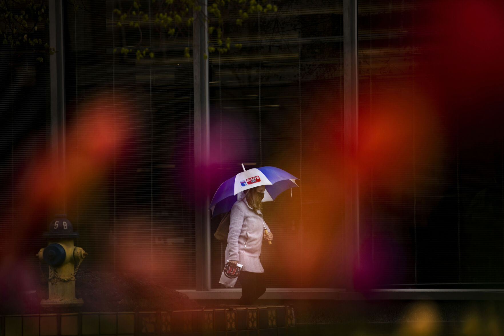 Deana O’Riley is framed by tulips as she walks with her umbrella though a mix of spring rain and snow showers after picking up lunch on Tejon Street in downtown Colorado Springs on Tuesday, May 11, 2021. (Chancey Bush/ The Gazette) (Chancey Bush/ The Gazette)