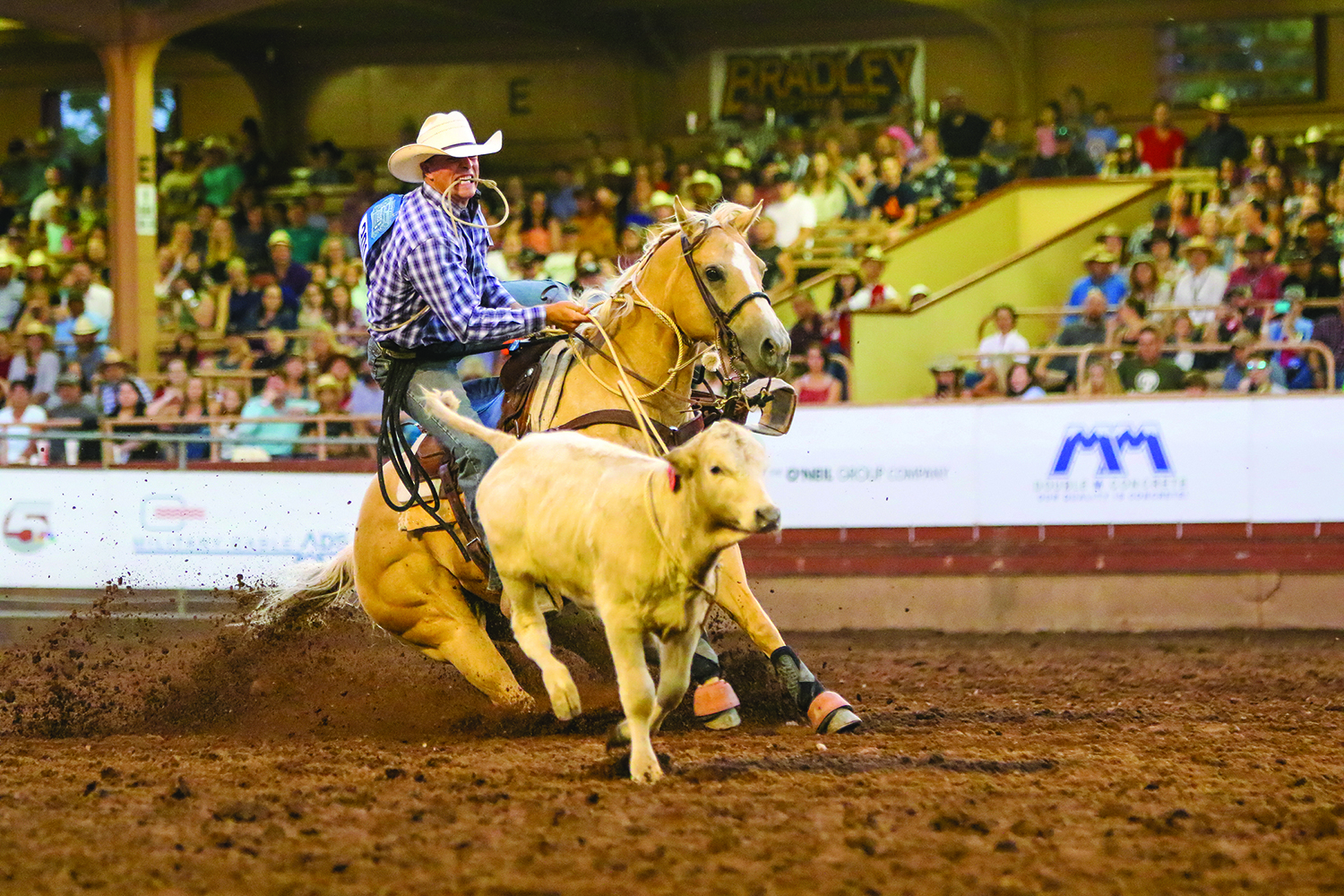 Photo: Brian Q. Gauck courtesy Pikes Peak Rodeo