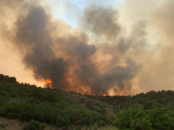 The Collom wildfire burning northwest of Craig in the northwestern part of Colorado consumed nearly 650 acres as of Wednesday morning, June 16, 2021. (Courtesy of the Moffat County Sheriff's Office)