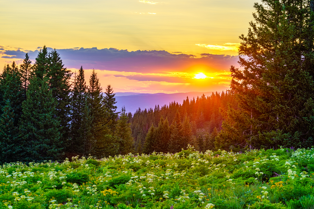 Dangerous temperatures present in Colorado as ‘excessive heat warning’ continues for some