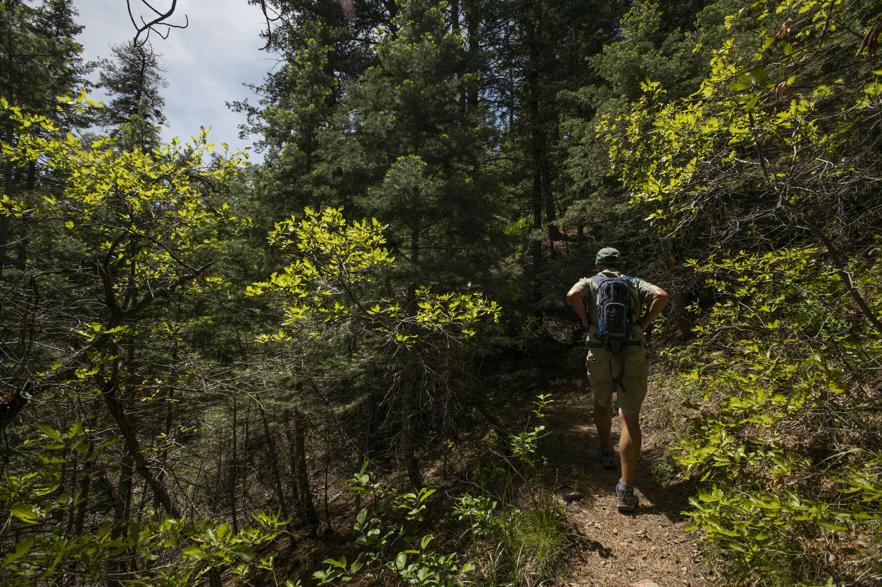 Happy Trails: This southern Colorado trail delights ‘off the beaten path’