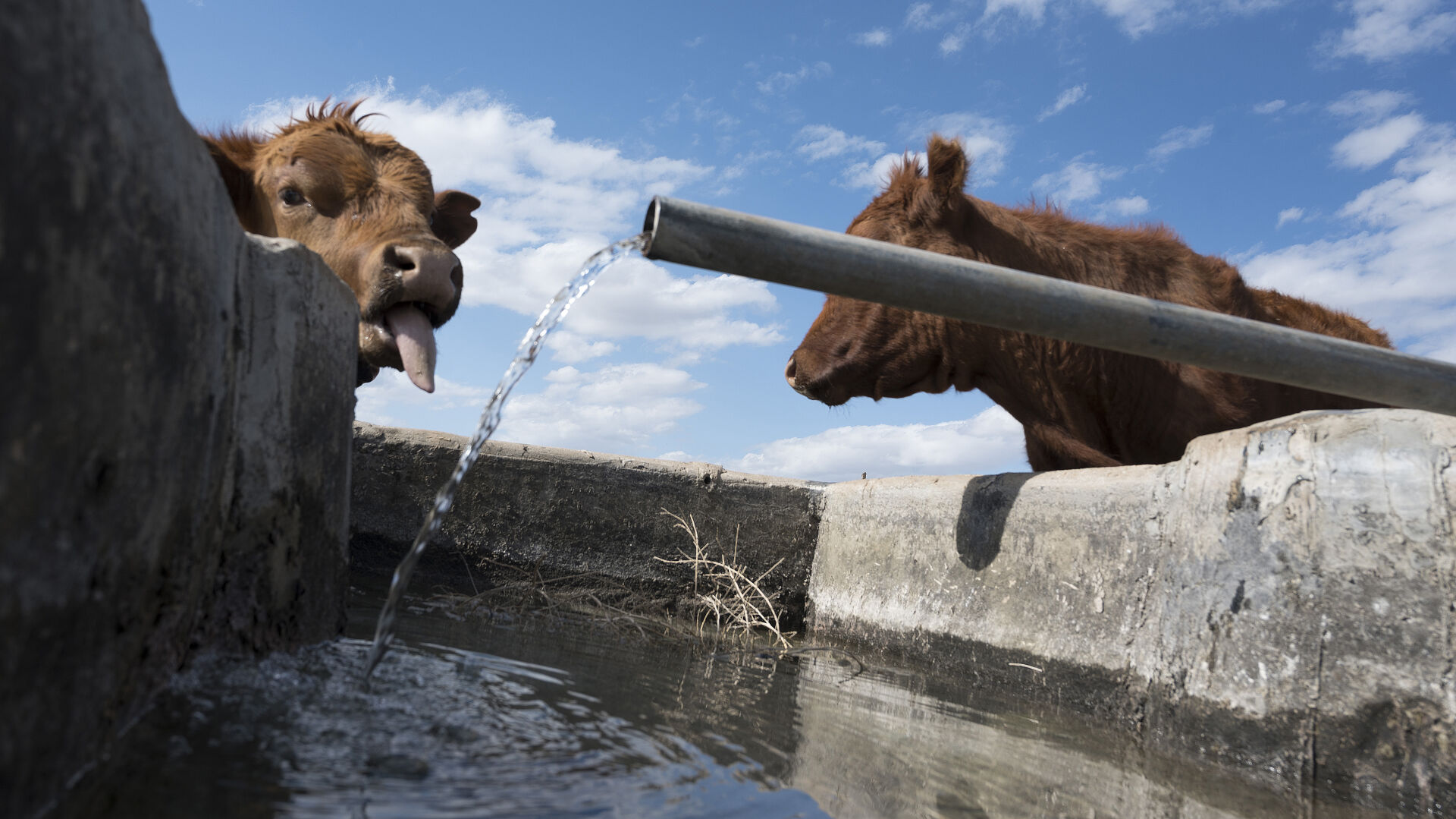 Residents in parched Colorado county fight water speculation