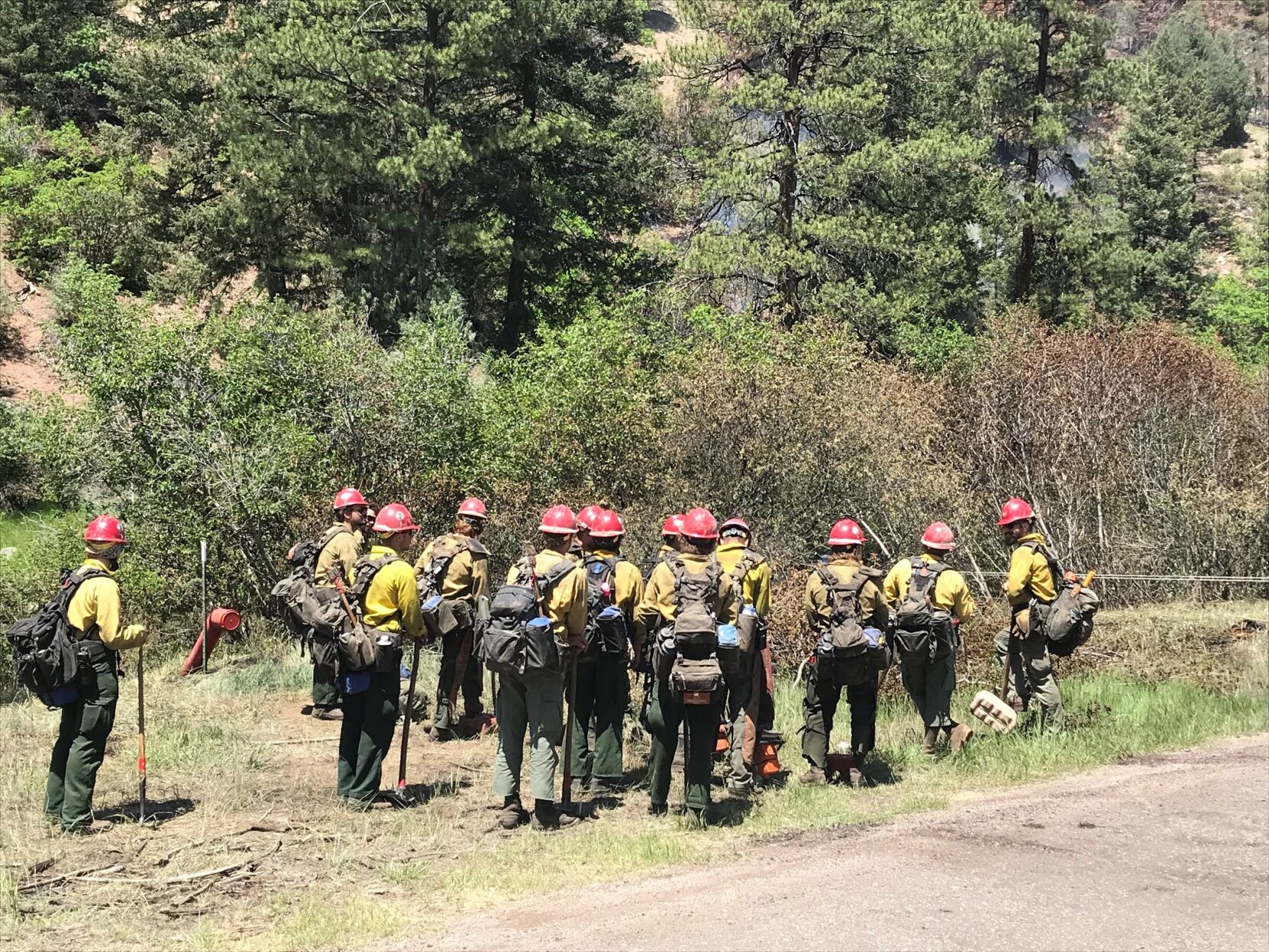 Firefighter crew at the Platte River Fire (Pike & San Isabel National Forest)