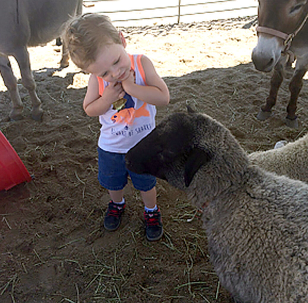 Photo courtesy: Pikes Peak Rodeo