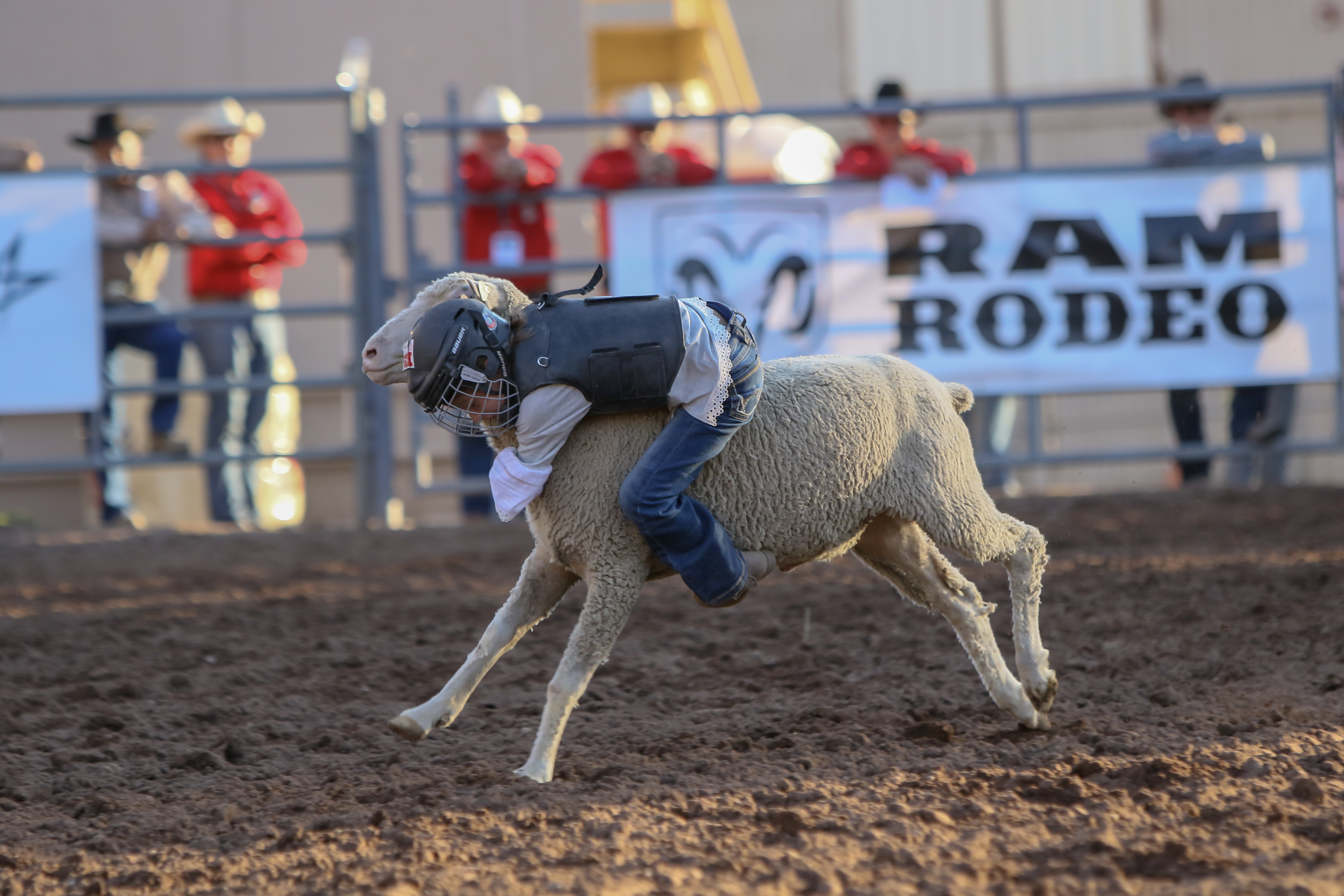 Photo: Brian Q. Gauck courtesy Pikes Peak Rodeo