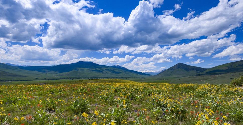 crested butte