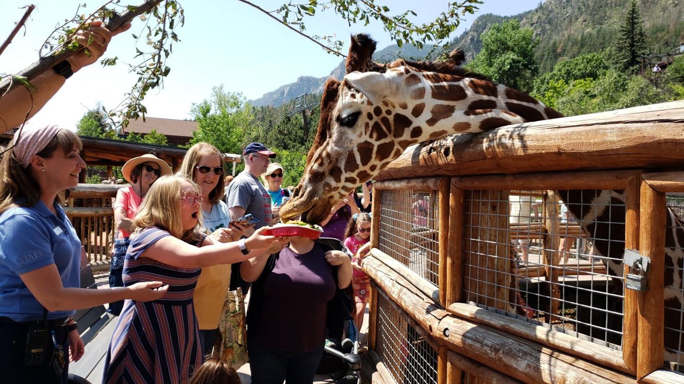 Cheyenne Mountain Zoo, Children’s Hospital Colorado celebrate giraffe’s second birthday