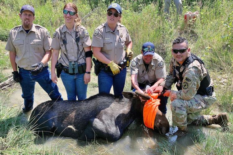 Photo Courtesy of Colorado Parks and Wildlife.