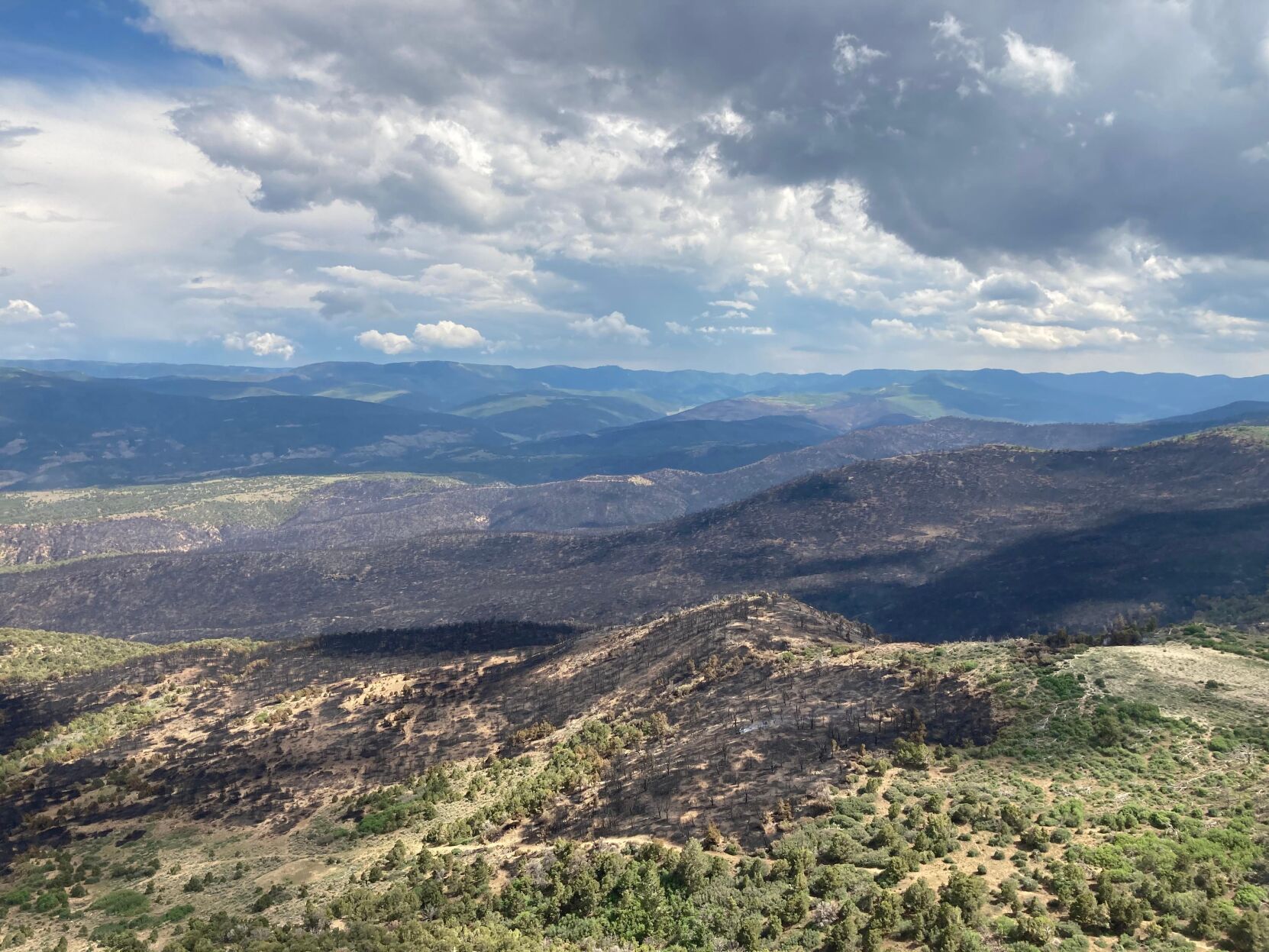 Wet week tamps down fires, higher temps could increase fire danger