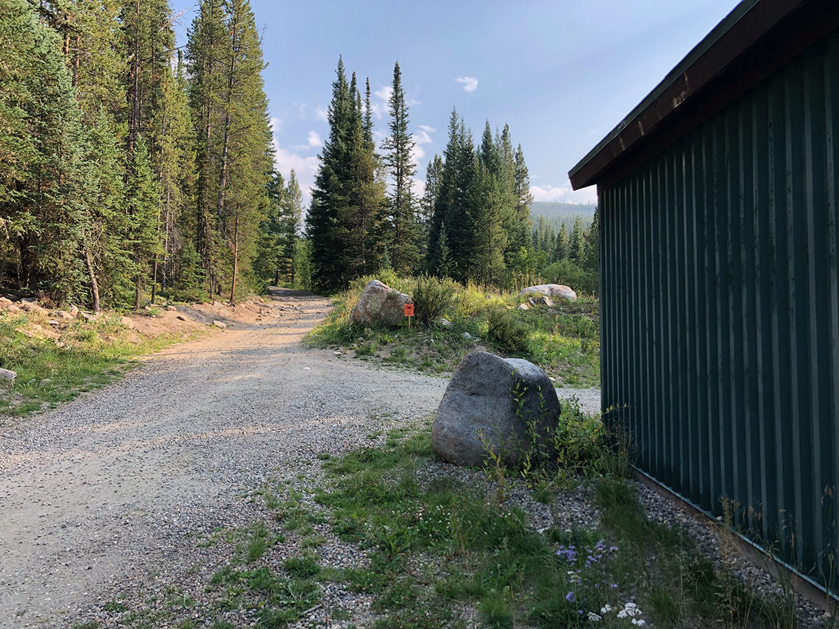 Woman injured after second moose attack this week in Colorado