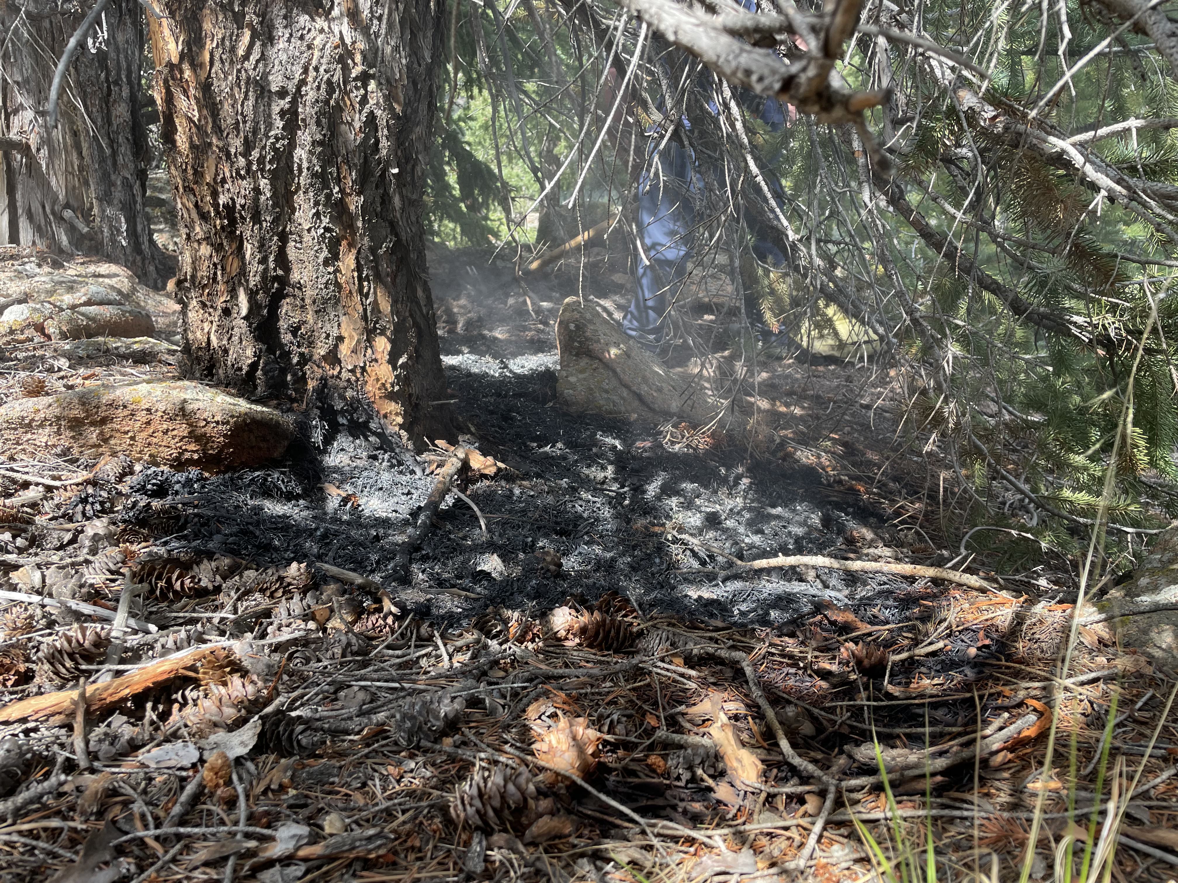 Hiker credited with quick action during fire reported in Colorado state park