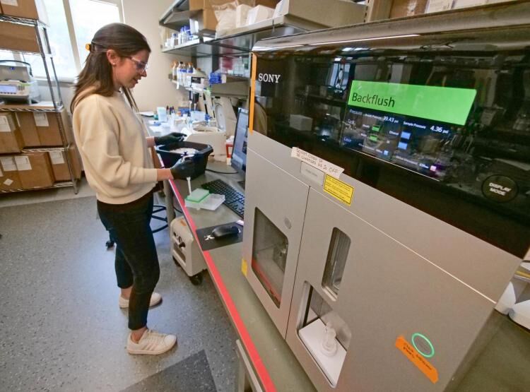 CU Boulder researchers on the path to developing universal vaccine