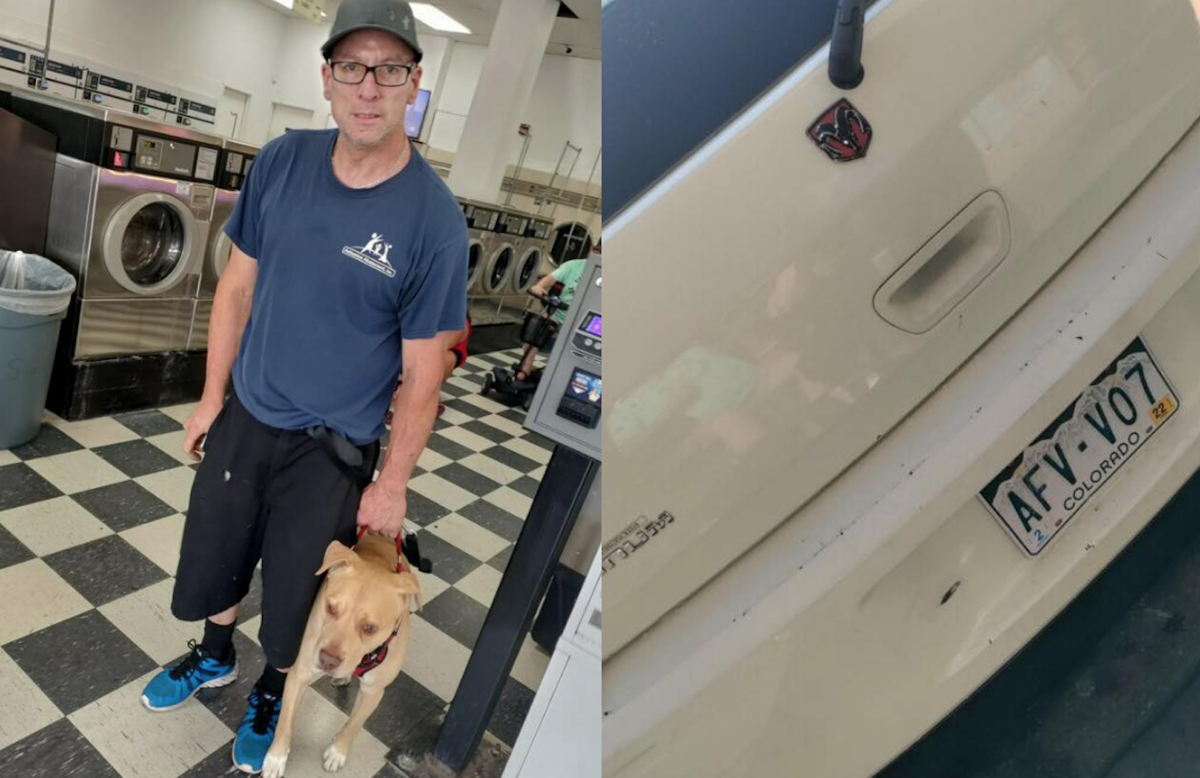 Colorado police searching for dog suspected of biting child