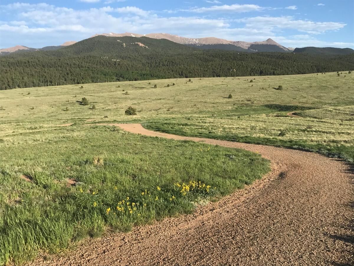 Dog tests positive for plague, likely exposed during hike in Colorado