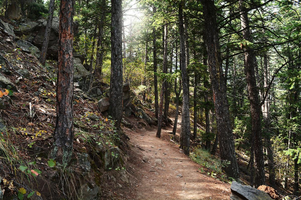 Rescue teams assist injured mountain biker on trail in Colorado