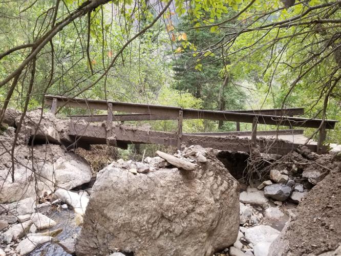 Photo Courtesy of The U.S Forest Service