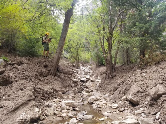 Photo Courtesy of The U.S Forest Service