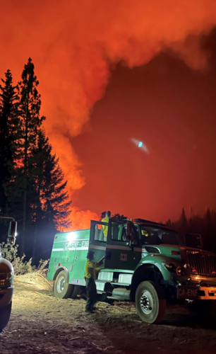 Screen Shot 2021-08-19 at 12.40.40 PM.png