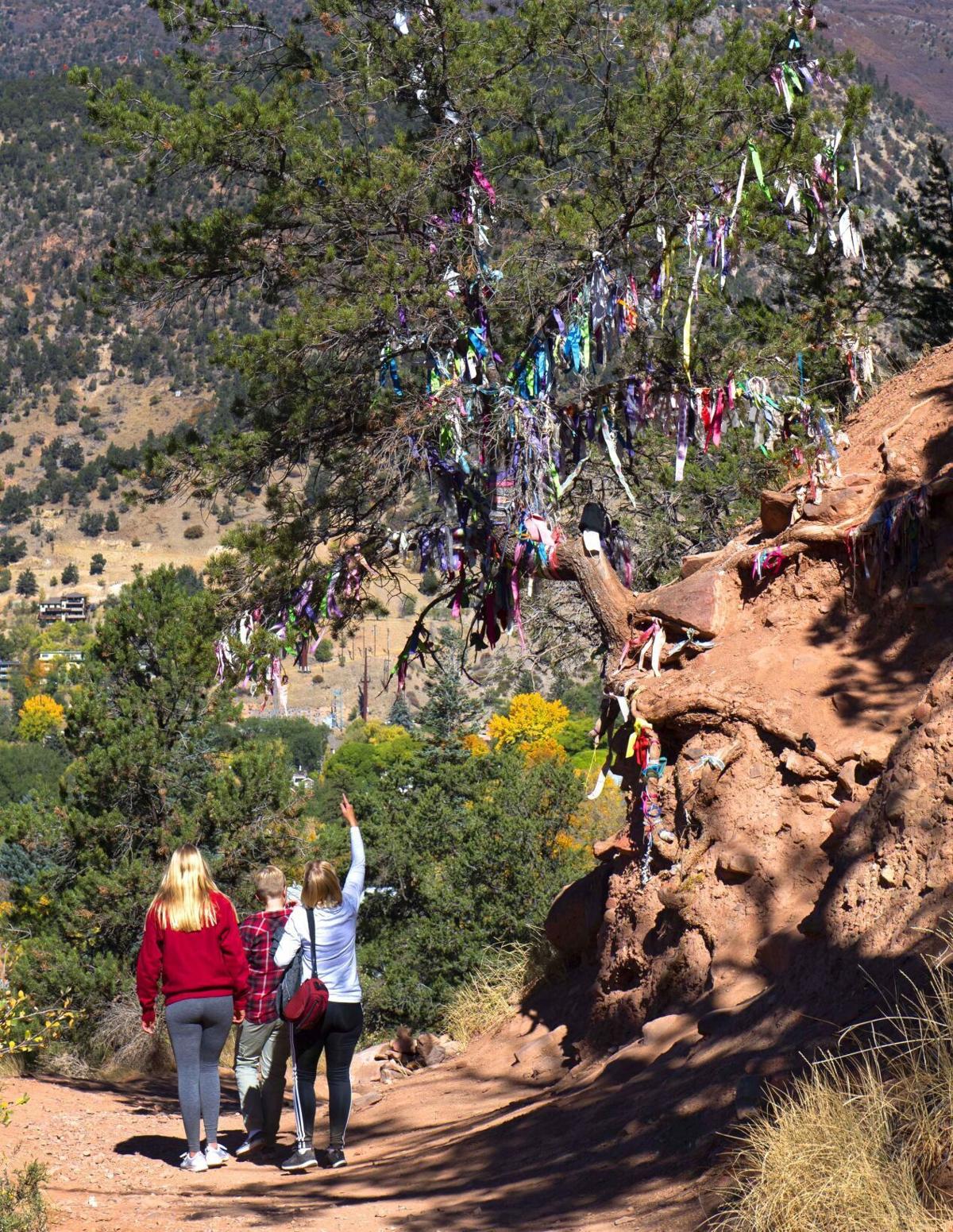glenwood4