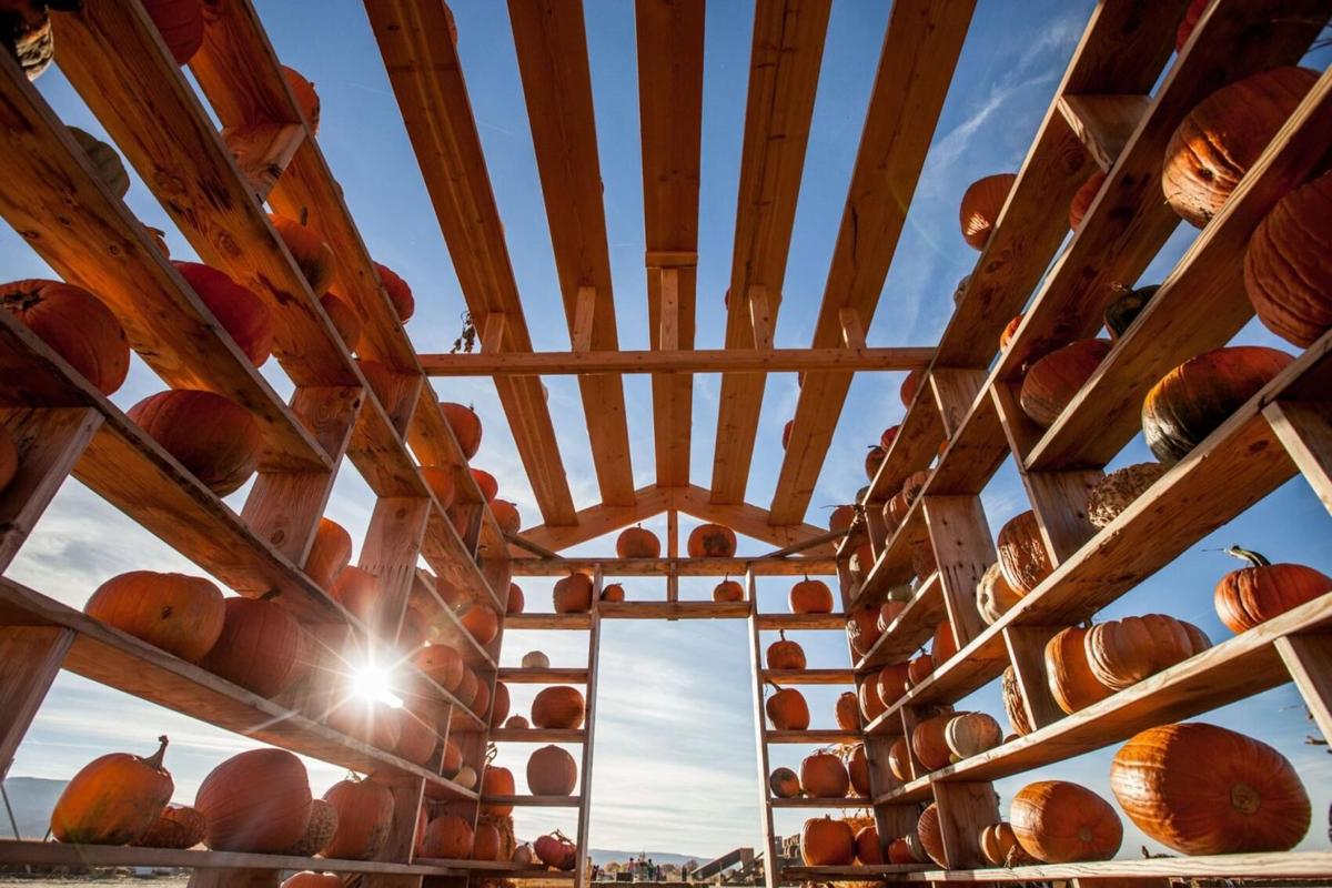 9 sprawling pumpkin patches to get your fall fix in Colorado