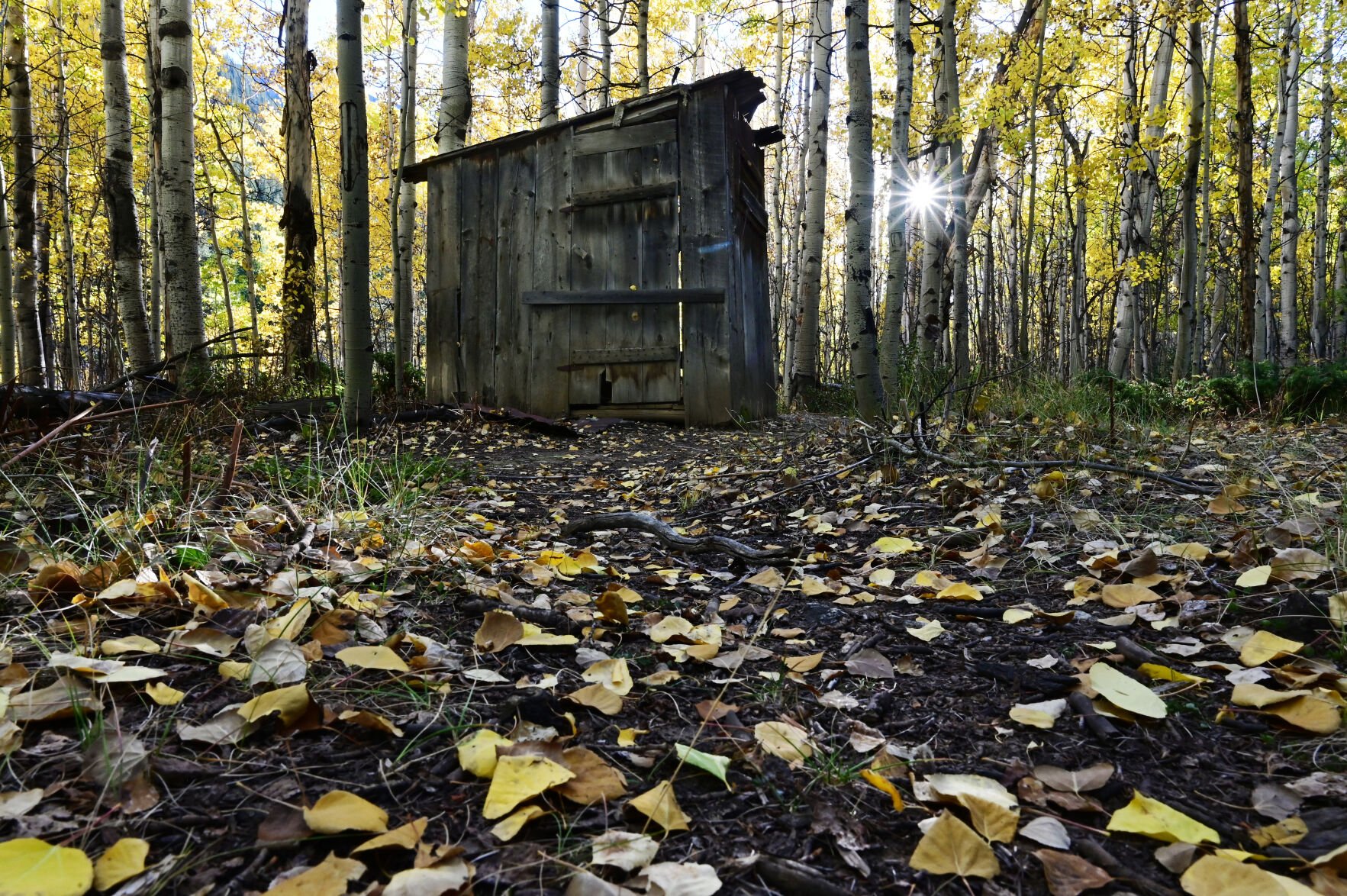 The path to an old outhouse in Vicksburg, Colorado, is paved with golden aspen leaves on Wednesday, Sept. 22, 2021. Vicksburg is a well preserved ghost town tucked away in Clear Creek Canyon. The canyon lies between Leadville and Buena Vista on Highway 24. Vicksburg is a well preserved ghost town tucked away in Clear Creek Canyon. The canyon lies between Leadville and Buena Vista on Highway 24. (Photo by Jerilee Bennett, The Gazette)