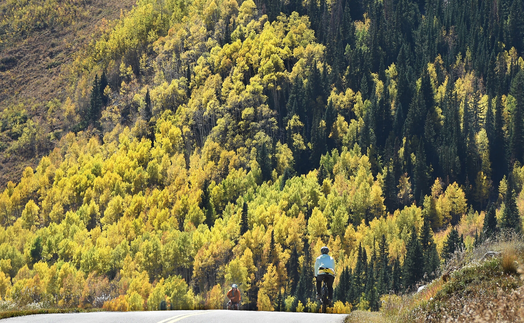 Cyclists were taking advantage of a beautiful day and beautiful scenery on Castle Creed Rd. on Wednesday, Sept. 22, 2021. The Fall colors are putting on a show, but mostly at the higher elevations. Castle Creek Rd. is located south of Aspen. (Photo by Jerilee Bennett, The Gazette) (Jerilee Bennett)