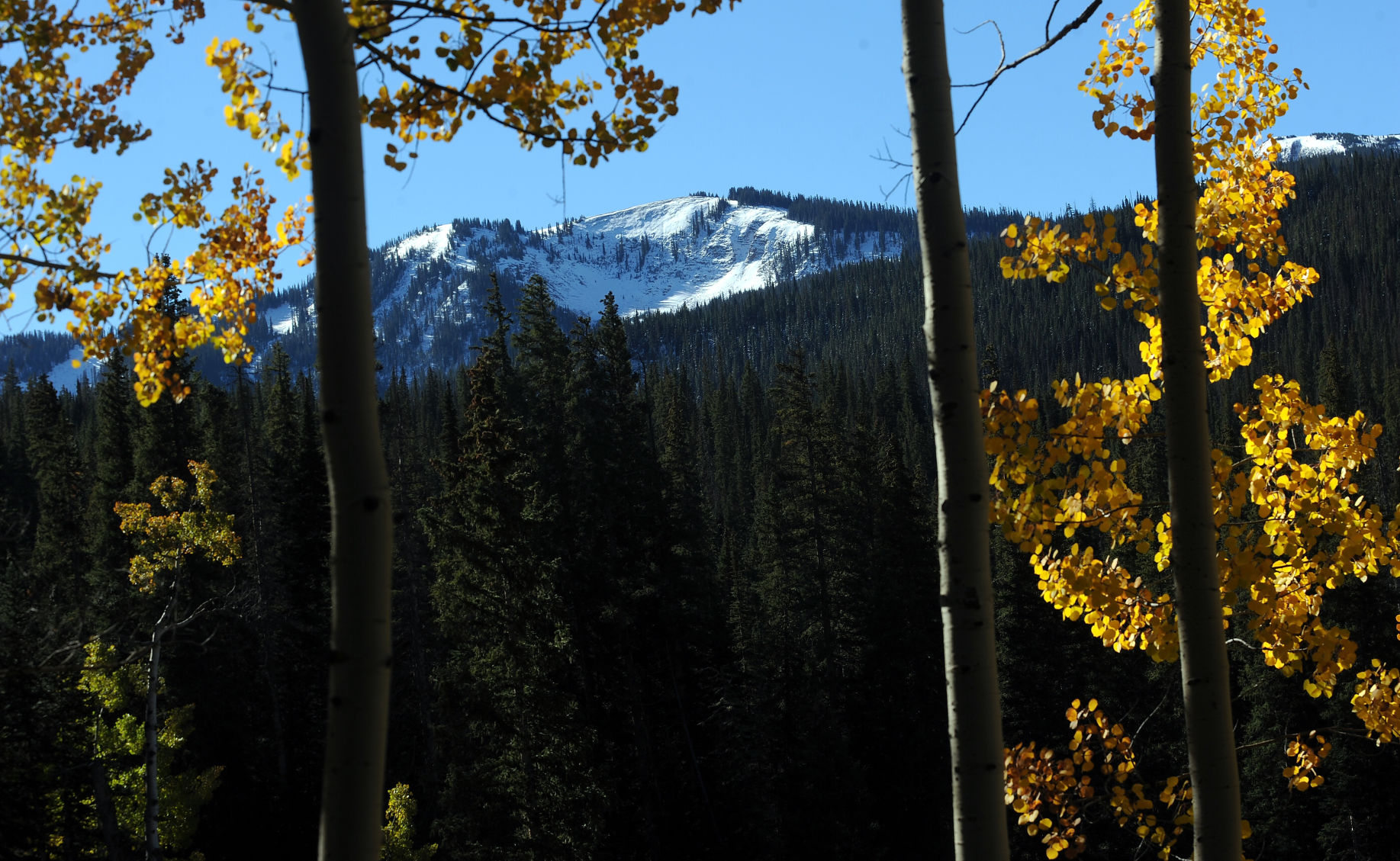 A light dusting of snow covers the mountain peaks on Kebler Pass near Crested Butte as the aspens begin to turn golden Sunday, Sept. 29, 2013.