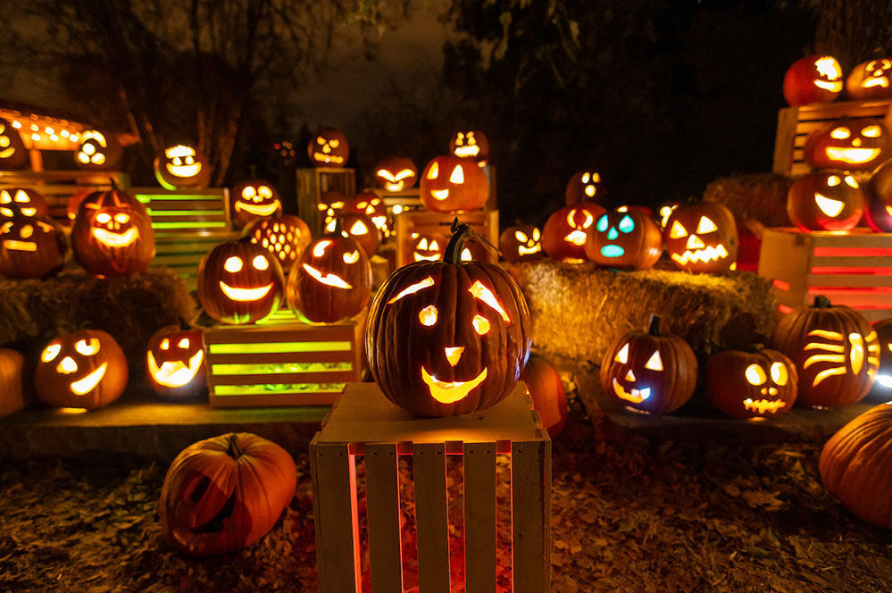 Hand-carved jack-o’-lanterns to decorate Denver Botanic Gardens during special October event