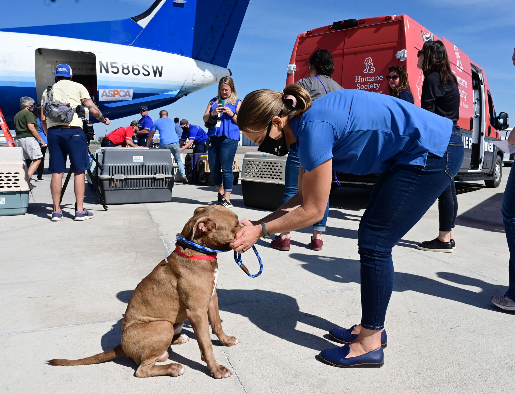 Humane Society of the Pikes Peak Region takes in pets displaced by Hurricane Ida